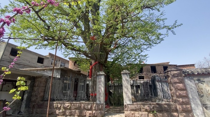 微信圖片_20220413091049.jpg 微信圖片_20220413091049.jpg